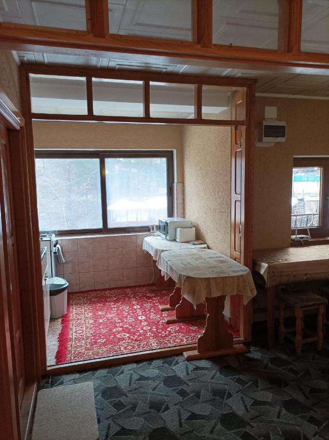 Homestay Alpina Olanesti *