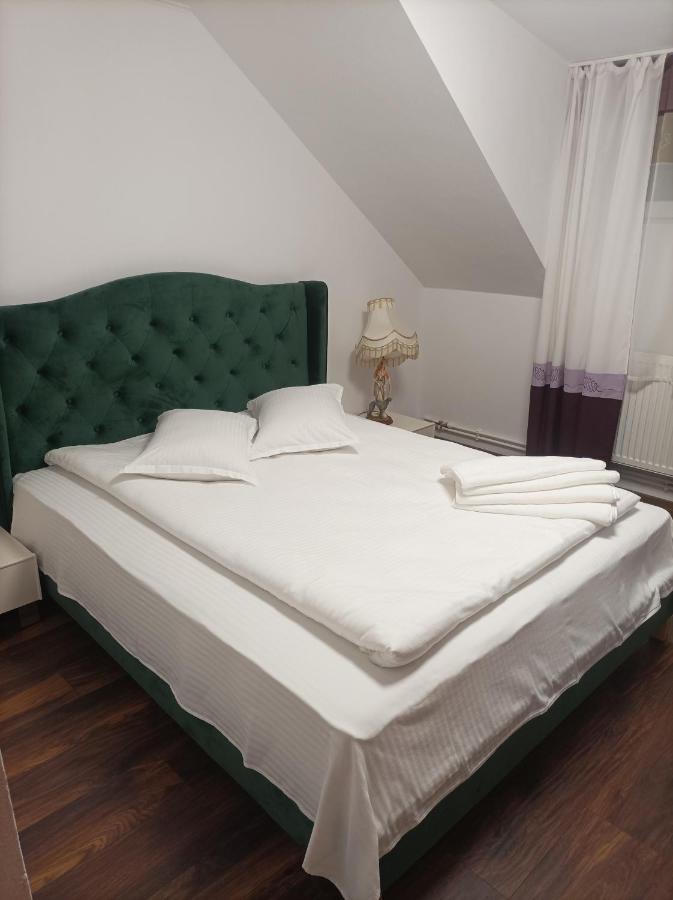 Alpina Olanesti Homestay